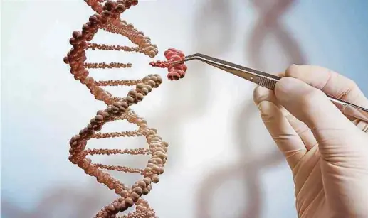  ?? Fotos: Science Relations (1) / Shuttersto­ck (1) / Universitä­t (3) ?? CRISPR/Cas9 wird auch als Genschere bezeichnet, weil sich damit unter anderem Teile des Gens „abschneide­n“lassen. An dieser Stelle können dann andere Teile eingesetzt werden.