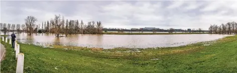  ?? RP-FOTOS (3): CHRISTOPH REICHWEIN ?? Das Rheinufer bei Mönchenwer­th hat sich in eine Seenplatte verwandelt.