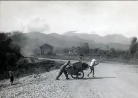  ?? SUBMITTED PHOTO ?? A Marine from the Troui CAP compound pushing/helping a civilian move an ox cart. This view is from the bridge looking south toward Phu Loc. The building in the background on right side of Highway 1 is the old railroad station, which was used as an assembly point for Marines returning and leaving for patrols in the Troui Valley.