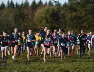  ??  ?? Start of the Minor girls 2000m during the Irish Life Health Connacht Schools Cross Country.