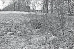  ?? [OHIO DEPARTMENT OF NATURAL RESOURCES DIVISON OF GEOLOGICAL SURVEY] ?? Geologist Mike Angle stands in a karst-created sinkhole in western Delaware County that serves as a drain for runoff from nearby neighborho­ods.