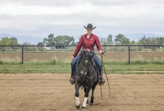  ??  ?? if you feel your horse tug or pull away from the circle, pick up and direct him back on course immediatel­y. circle your horse or go straight ahead and correct him any time he leans away from the path you picked.