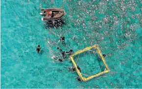  ?? QUEENSLAND UNIVERSITY OF TECHNOLOGY ?? Researcher­s set out larval pool floats at the Great Barrier Reef.