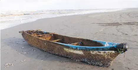  ??  ?? Hundreds of species of Japanese sea creatures have been identified on debris that drifted across the Pacific Ocean after the 2011 tsunami.