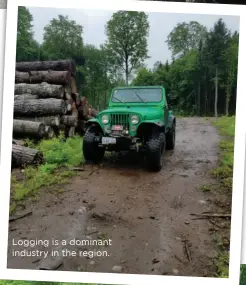  ??  ?? Logging is a dominant industry in the region.