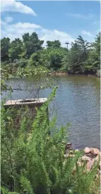  ??  ?? A pond where the body of a teenage Muslim girl was found in Sterling, Va. A 22-year-old Virginia man was held on a murder charge Monday.