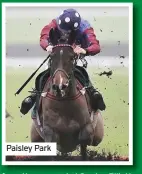  ??  ?? Paisley Park
from the suspended Gordon Elliott at Cullentra House stables and has had her first Festival winners