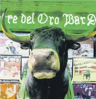  ?? Dani Duch ?? La cabeza del toro Segador, en un bar de la plaza Mayor de Madrid