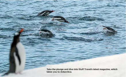  ?? ?? Take the plunge and dive into Stuff Travel’s latest magazine, which takes you to Antarctica.
