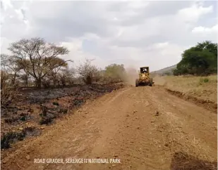  ??  ?? ROAD GRADER, SERENGETI NATIONAL PARK