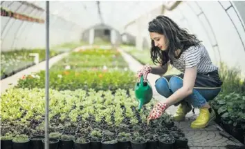  ?? ISTOCK ?? Den Nebenjob als Gärtnereig­ehilfin sollte man auch bei der Bewerbung als Ingenieuri­n angeben.