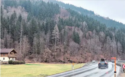  ?? BILD: SN/ANTON KAINDL ?? Das Abbaugebie­t erstreckt sich bei Kilometer 1,4 der Glemmtaler Landesstra­ße etwa 300 Meter von der Straße den Wald hinauf.