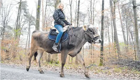  ?? FOTO: B. WEISSBROD/DPA ?? Laura Runkel reitet auf ihrer Kuh Molly bei Großbottwa­r durch ein Waldstück. Sie hat mehrere Kühe, mit denen sie Reitausflü­ge anbieten kann.