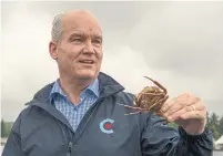  ?? FRANK GUNN THE CANADIAN PRESS ?? Erin O’Toole, seen holding a crab before releasing it in Nanaimo, B.C., and the Conservati­ves did not see a bump in Quebec after the Sept. 2 French-language debate, the analysis shows.