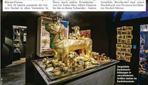  ??  ?? Vergoldete Dackelnach­bildungen in verschiede­nen Größen stehen im Dackelmuse­um.