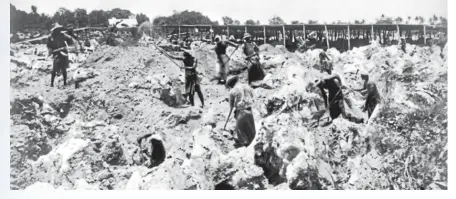  ?? ALEXANDER TURNBULL LIBRARY REF: PACOLL-6044-01 ?? Workers dig for phosphate on Banaba, the Kiribati island formerly known as Ocean Island.