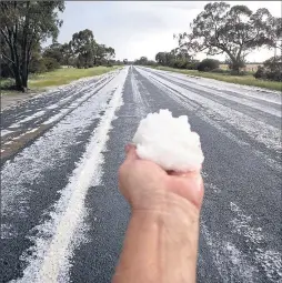  ?? ?? Steve Beckwith was able to make his own ‘‘snowball’’ from hail on Cobb Highway between Mathoura and Deniliquin.
