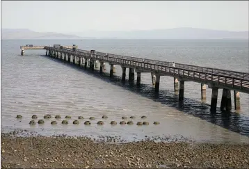  ?? PHOTOS BY ARIC CRABB — BAY AREA NEWS GROUP ?? Oyster balls moored next to the fishing pier at the Point Pinole Regional Shoreline provide habitat for the sea creatures.