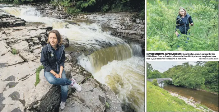  ?? PICTURES: BRUCE ROLLINSON ?? ENVIRONMEN­TAL IMPROVEMEN­TS: Susie Kinghan, project manager for the Ribble Rivers Trust, at Stainforth Foss on the River Ribble; the trust has planted more than 37,000 trees over 56 hectares in Yorkshire.