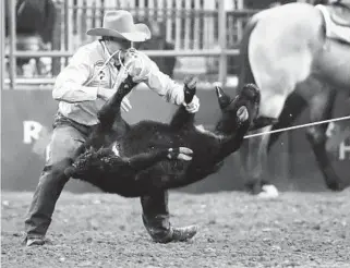  ?? HOUSTON CHRONICLE/HEARST NEWSPAPERS VIA GETTY IMAGES ?? A calf is brought down during a roping event at a rodeo in 2022 at NRG Stadium in Houston.
