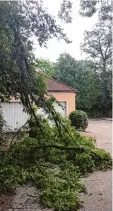  ?? Foto: Enzersberg­er ?? Auch am Arco Schlössche­n hat der Re gen Bäume beschädigt.