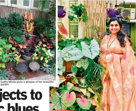  ??  ?? Sudha Moola gives a glimpse of her beautiful garden