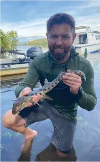  ?? The Associated Press ?? ■ This image released by Warner Bros. Discovery shows Forrest Galante holding a Papuan epaulette shark. Shark Week, 25 hours of programmin­g dedicated to all varieties of the apex predators, starts Sunday on the Discovery Channel and streaming on discovery+.