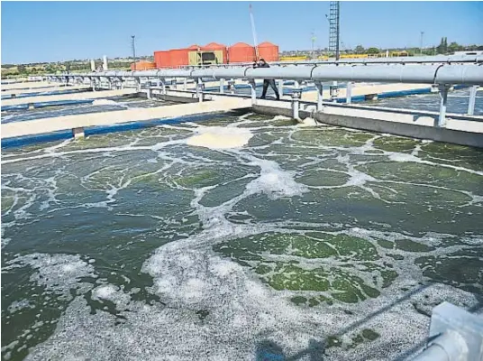  ?? PEDRO CASTILLO ?? ENERGÍA DE LAS CLOACAS. La planta captará el biogás que hoy se tiene que ventear con una antorcha. Se utilizará para alimentar la operación de la propia planta.