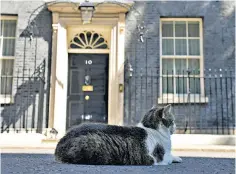  ?? ?? Not going anywhere: Larry the cat enjoys the sun outside 10 Downing Street on Friday