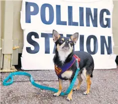  ??  ?? His master’s vote: it’s walkies to the polls again soon for many a dogged democrat
