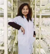  ?? BLOOMBERG PIC ?? Malaysian Palm Oil Board head of breeding and tissue culture unit Meilina Ong Abdullah with the new variety of palms.