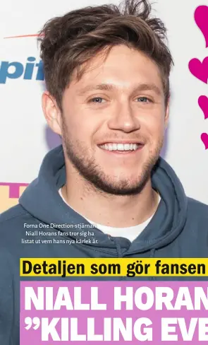  ??  ?? Forna One Direction-stjärnan Niall Horans fans tror sig ha listat ut vem hans nya kärlek är.