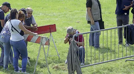  ??  ?? Le ipotesi Le misteriose buche sul prato dell’ippodromo scatenaron­o numerose ipotesi: ma nessuno aveva pensato alle vespe