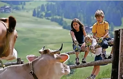  ?? FOTO: „ROTER HAHN“/ FRIEDER BLICKLE ?? Viele Kinder kennen heutzutage landwirtsc­haftliche Nutztiere allein aus dem Fernsehen. Sie womöglich gar selbst zu füttern, ist vielfach nur dann möglich, wenn die Familie Urlaub auf einem Bauernhof macht – was zunehmend populärer wird.