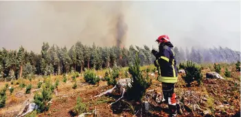  ??  ?? Incendio en San José de Colico, en el Biobío, ha consumido casi 50 hectáreas.