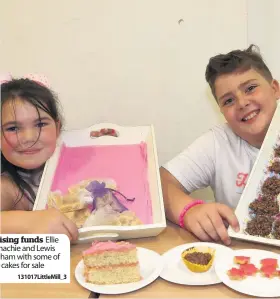  ??  ?? Raising funds Ellie Donachie and Lewis Graham with some of the cakes for sale
131017Litt­leMill_ 3