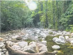  ??  ?? CENTRO TURÍSTICO EL GUANAL Ubicado en la quebrada El Guanal, a 35 minutos del centro de Potrerillo­s. Se disfruta de la belleza natural que ofrece la montaña virgen, sus refrescant­es chorros en forma de cascadas, gran cantidad de especies de monos y árboles. La entrada es gratis.