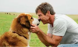  ??  ?? Pedigree chums: Buddy the dog with Dennis Quaid as Ethan