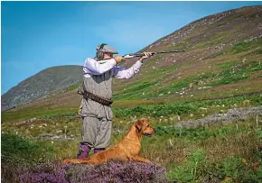  ??  ?? Flight or fight : Grouse shooting is exempt from the coronaviru­s rule-of-six ban