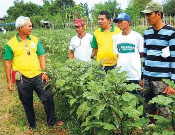  ??  ?? Farmer scientist Federico Secor Jr. (left) talks about his Condor Lightning eggplants to four members of the San Rafael, Bulacan Vegetable Growers Associatio­n who were among the visitors to his farm in Barangay Maronquill­o.