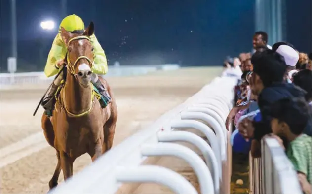  ?? Supplied photo ?? Balad Al Reef, ridden by Szczepan Mazur, races towards the finish line to win final round of the Al Ain Marathon Series on Saturday.