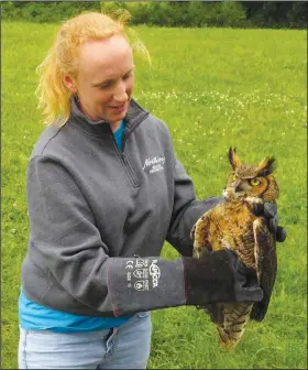  ?? (NWA Democrat-Gazette/Randy Moll) ?? Emily Henrichs Warman displays a great horned owl Sunday before its release at Eagle Watch Nature Trail in Gentry.