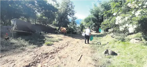  ??  ?? Luis Antonio Chávez Dávalos continúa su camino a pie por un angosto tramo de tierra para poder vacunar a un niño.