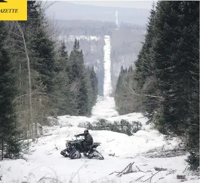  ?? JOE RAEDLE / GETTY IMAGES ?? A U.S. border patrol agent looks for signs of illegal entry along a boundary between Canada and the United States. Last week, the Canada Border Services Agency reported that more than 400 people had illegally crossed into Manitoba from North Dakota...