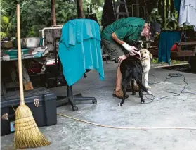  ?? Marie D. De Jesús / Houston Chronicle ?? Army veteran Glenn Brymer takes care of his dog and those of his late friend.