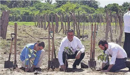  ??  ?? Lanzamient­o. El programa Sembrando Vida fue lanzado en El Salvador el pasado mes de julio.