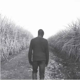  ?? GUILLEM SARTORIO/BLOOMBERG ?? SUGAR cane farmer Sabelo Shabangu walks along a dirt track damaged by heavy rains not knowing how he will get his crop to the mill.