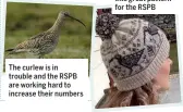  ??  ?? The curlew is in trouble and the RSPB are working hard to increase their numbers
Linda designed this great pattern for the RSPB