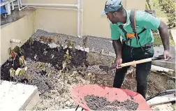  ??  ?? A team member from Moon Palace does some gardening at the St Ann’s Bay Regional Hospital.