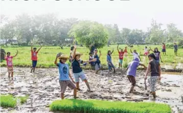  ??  ?? (Top) An agricultur­ist discusses rice pests and damage assessment at the Corazon C. Aquino High School in Gerona, Tarlac. (Left) Infomediar­ies of the Leyte AgroIndust­rial School transplant rice as part of their practical activities. (Photos by Jayson...